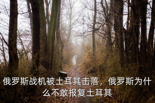 俄羅斯戰(zhàn)機被土耳其擊落，俄羅斯為什么不敢報復土耳其
