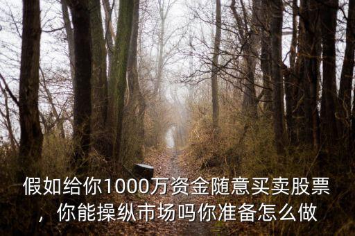 假如給你1000萬資金隨意買賣股票，你能操縱市場嗎你準備怎么做