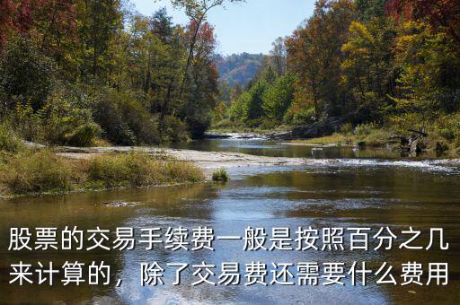 股票的交易手續(xù)費一般是按照百分之幾來計算的，除了交易費還需要什么費用