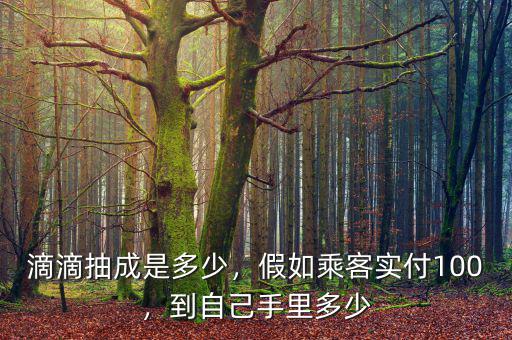 滴滴抽成是多少，假如乘客實(shí)付100，到自己手里多少