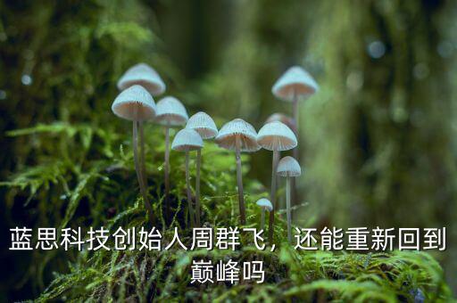 藍思科技創(chuàng)始人周群飛，還能重新回到巔峰嗎