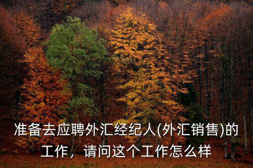 準(zhǔn)備去應(yīng)聘外匯經(jīng)紀(jì)人(外匯銷售)的工作，請問這個(gè)工作怎么樣