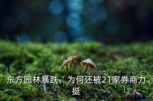 東方園林暴跌，為何還被21家券商力挺