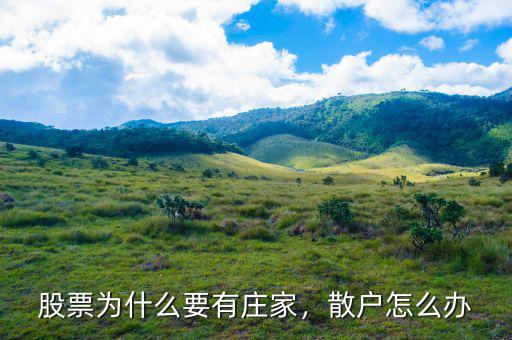 股票為什么要有莊家，散戶怎么辦