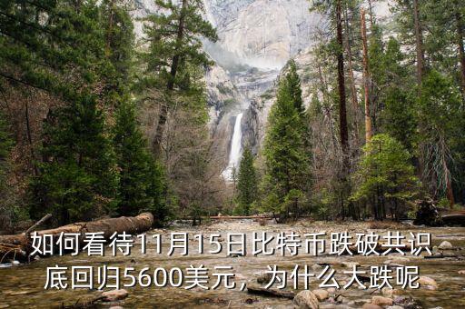如何看待11月15日比特幣跌破共識底回歸5600美元，為什么大跌呢
