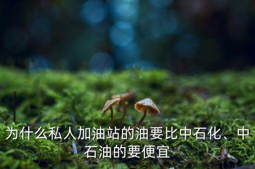 為什么私人加油站的油要比中石化、中石油的要便宜