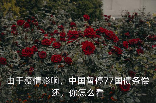 由于疫情影響，中國暫停77國債務償還，你怎么看