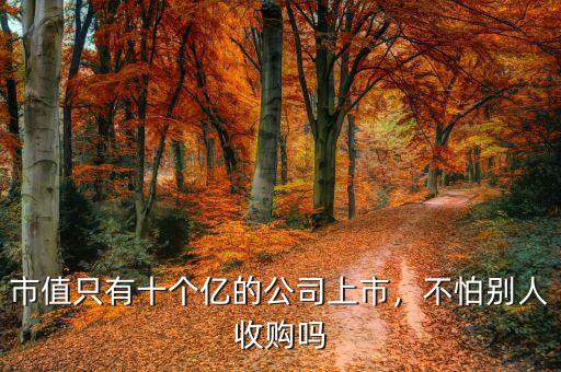 市值只有十個(gè)億的公司上市，不怕別人收購嗎