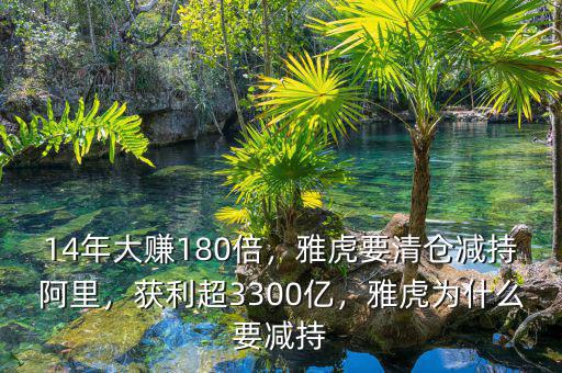 14年大賺180倍，雅虎要清倉減持阿里，獲利超3300億，雅虎為什么要減持