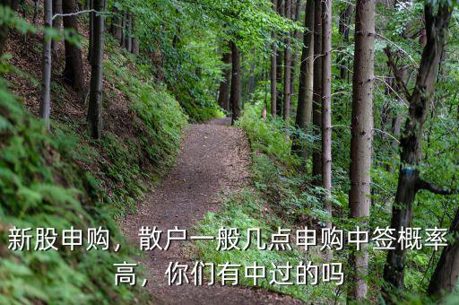 新股申購，散戶一般幾點申購中簽概率高，你們有中過的嗎