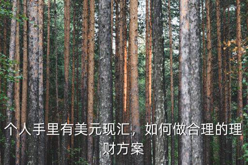 個人手里有美元現(xiàn)匯，如何做合理的理財方案