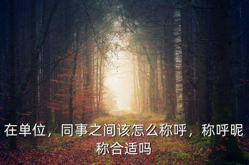 在單位，同事之間該怎么稱呼，稱呼昵稱合適嗎