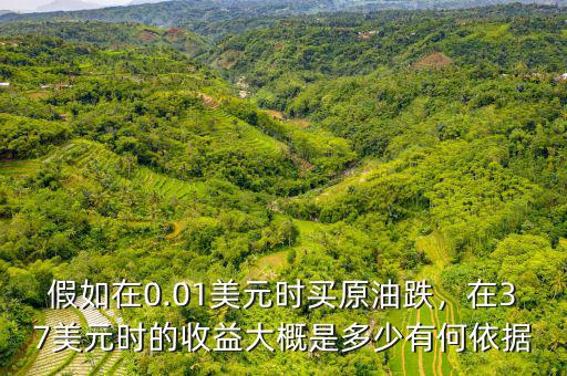 假如在0.01美元時(shí)買原油跌，在37美元時(shí)的收益大概是多少有何依據(jù)