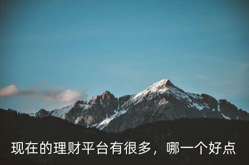 現(xiàn)在的理財(cái)平臺(tái)有很多，哪一個(gè)好點(diǎn)