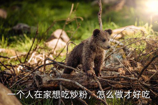 一個人在家想吃炒粉，怎么做才好吃