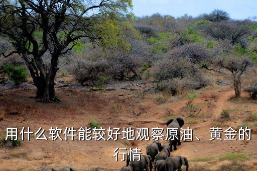 用什么軟件能較好地觀察原油、黃金的行情