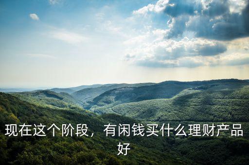 現(xiàn)在這個階段，有閑錢買什么理財產(chǎn)品好