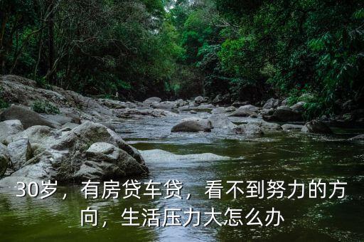 30歲，有房貸車貸，看不到努力的方向，生活壓力大怎么辦