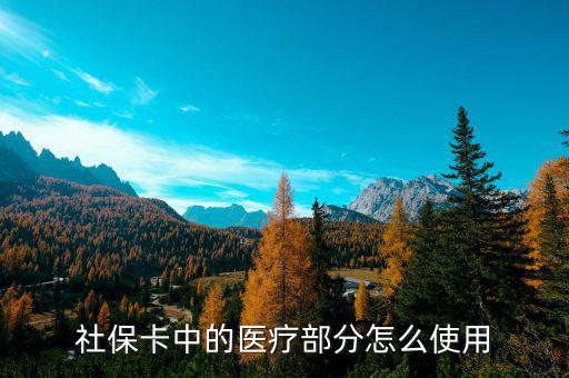 社?？ㄖ械尼t(yī)療部分怎么使用