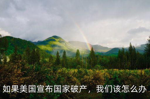 如果美國(guó)宣布國(guó)家破產(chǎn)，我們?cè)撛趺崔k
