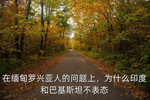 在緬甸羅興亞人的問(wèn)題上，為什么印度和巴基斯坦不表態(tài)