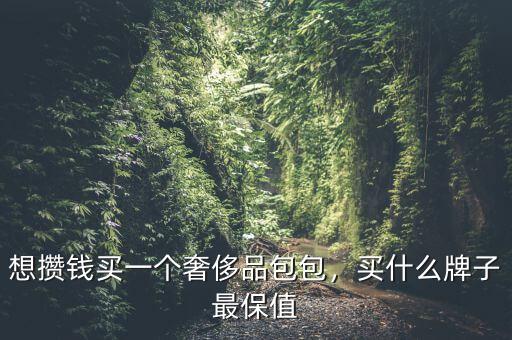 想攢錢買一個(gè)奢侈品包包，買什么牌子最保值