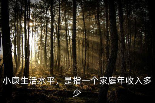 小康生活水平，是指一個家庭年收入多少