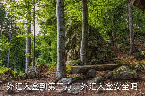 外匯入金到第三方，外匯入金安全嗎