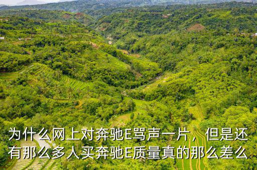 為什么網(wǎng)上對奔馳E罵聲一片，但是還有那么多人買奔馳E質(zhì)量真的那么差么