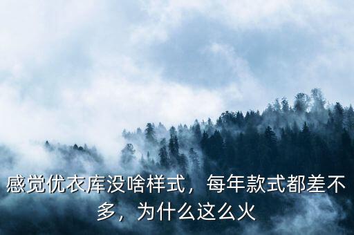 感覺優(yōu)衣庫沒啥樣式，每年款式都差不多，為什么這么火