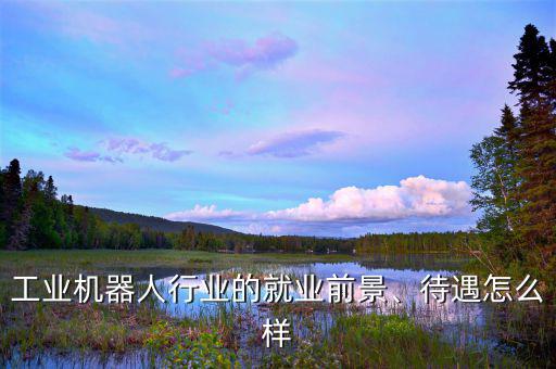 工業(yè)機器人行業(yè)的就業(yè)前景、待遇怎么樣