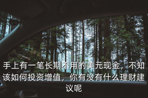 手上有一筆長期不用的美元現(xiàn)金，不知該如何投資增值，你有沒有什么理財建議呢