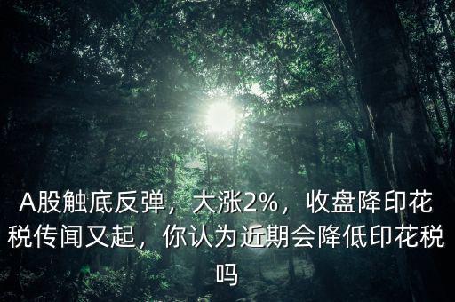 A股觸底反彈，大漲2%，收盤降印花稅傳聞又起，你認為近期會降低印花稅嗎
