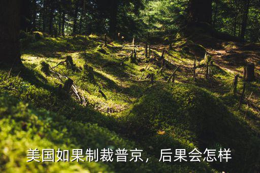 美國(guó)如果制裁普京，后果會(huì)怎樣
