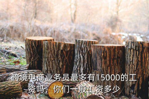 跨境電商業(yè)務(wù)員最多有15000的工資嗎，你們一般工資多少