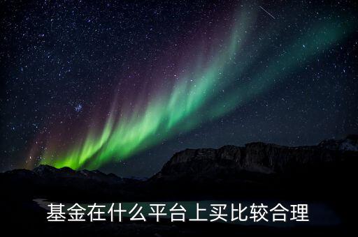 什么網(wǎng)站買(mǎi)基金好,基金在什么平臺(tái)上買(mǎi)比較合理