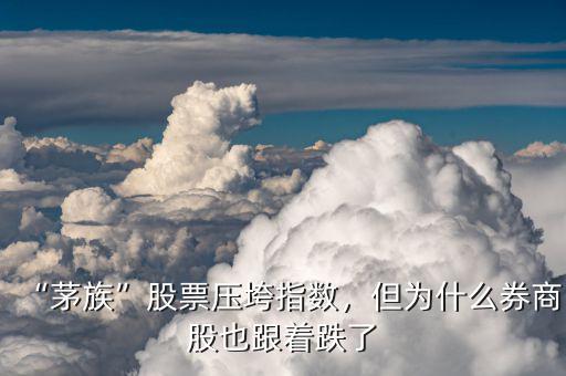 “茅族”股票壓垮指數(shù)，但為什么券商股也跟著跌了