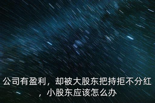 公司有盈利，卻被大股東把持拒不分紅，小股東應(yīng)該怎么辦