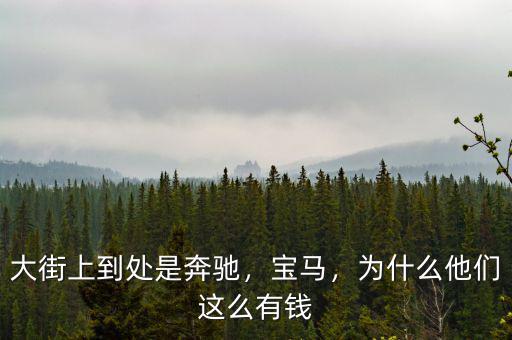 大街上到處是奔馳，寶馬，為什么他們這么有錢
