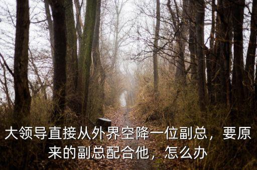 大領(lǐng)導(dǎo)直接從外界空降一位副總，要原來的副總配合他，怎么辦