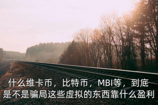 什么維卡幣，比特幣，MBI等，到底是不是騙局這些虛擬的東西靠什么盈利