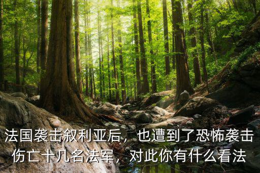 法國(guó)襲擊敘利亞后，也遭到了恐怖襲擊傷亡十幾名法軍，對(duì)此你有什么看法