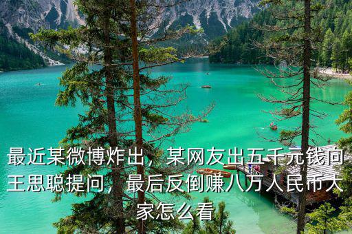 最近某微博炸出，某網(wǎng)友出五千元錢(qián)向王思聰提問(wèn)，最后反倒賺八萬(wàn)人民幣大家怎么看