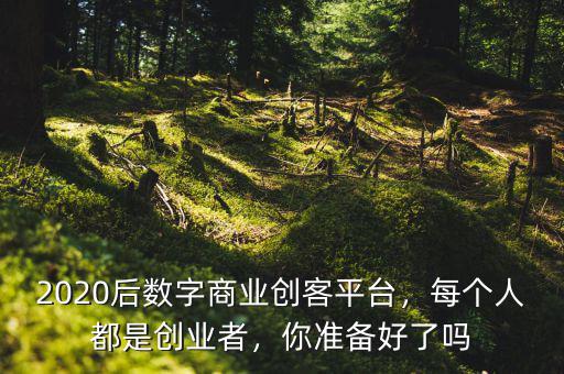 2020后數(shù)字商業(yè)創(chuàng)客平臺，每個(gè)人都是創(chuàng)業(yè)者，你準(zhǔn)備好了嗎