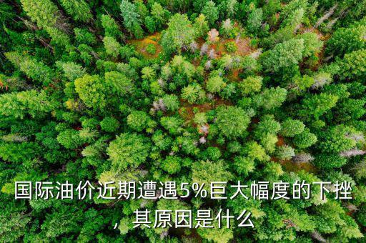 國際油價近期遭遇5%巨大幅度的下挫，其原因是什么