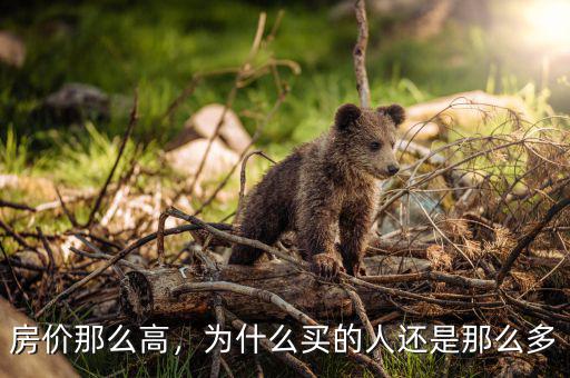 房價那么高，為什么買的人還是那么多