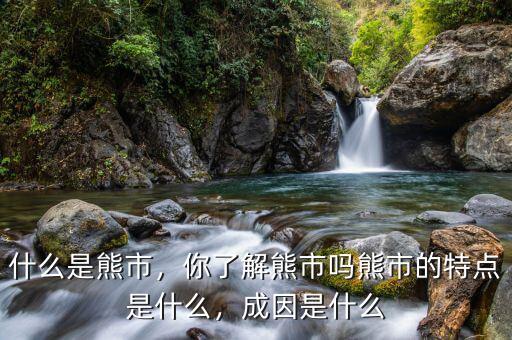 什么是熊市，你了解熊市嗎熊市的特點是什么，成因是什么