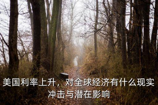 美聯(lián)儲(chǔ)利率增加對美國經(jīng)濟(jì)有什么影響嗎,美國利率上升