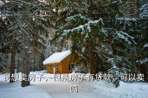 我想賣房子，但是房子有貸款，可以賣嗎