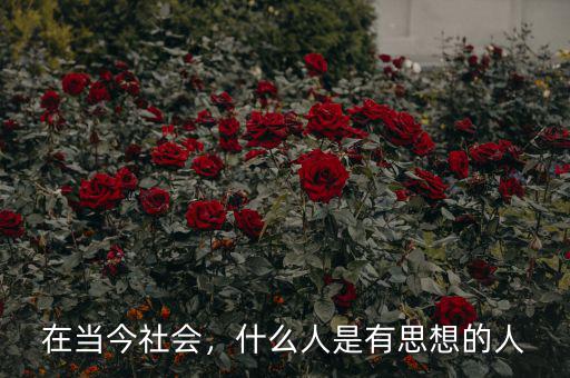 在當今社會，什么人是有思想的人